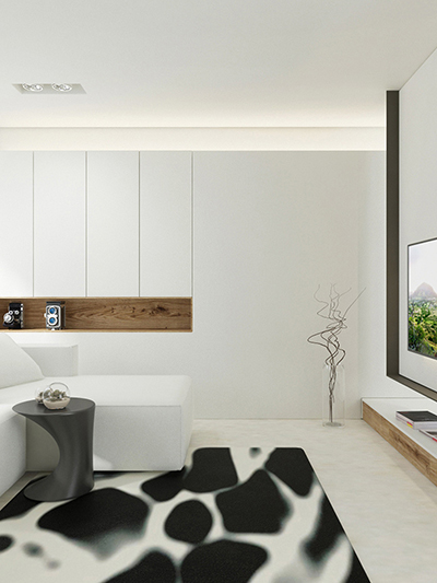 Minimalist livingroom in white